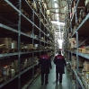 dscf8924.jpg