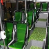 Solaris - elektriÄni minibus. Idealan za lokalni prijevoz u nekom buduÄ‡em integriranom prometnom sustavu u Hrvatskoj, odnosno za dovoz/odvoz putnika u/iz manjih mjesta do Å¾eljezniÄkih stajaliÅ¡ta. :-)