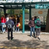 Foto: A. Klečina