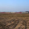 Foto: Ante KleÄina