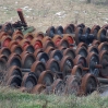 dscf40427.jpg