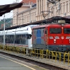 dscf7194.jpg